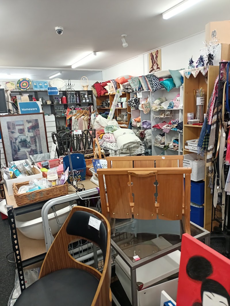 Check out SPCA Op Shop Greerton in Greerton