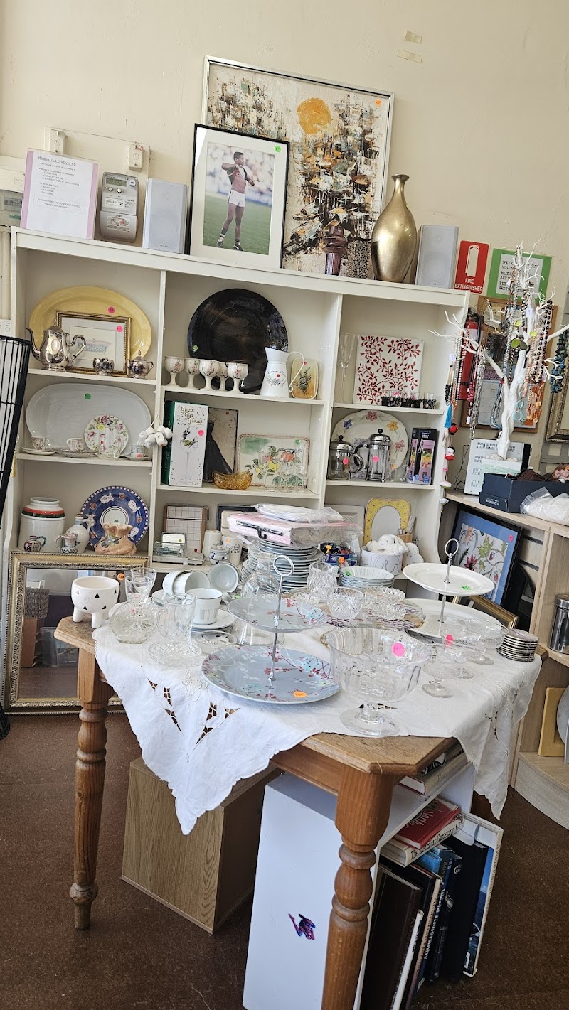 Check out Biccy’s Op Shop Brighton in Brighton