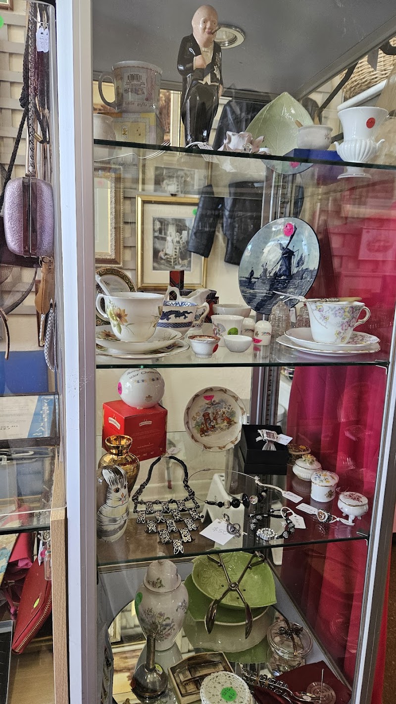 Check out Biccy’s Op Shop Brighton in Brighton