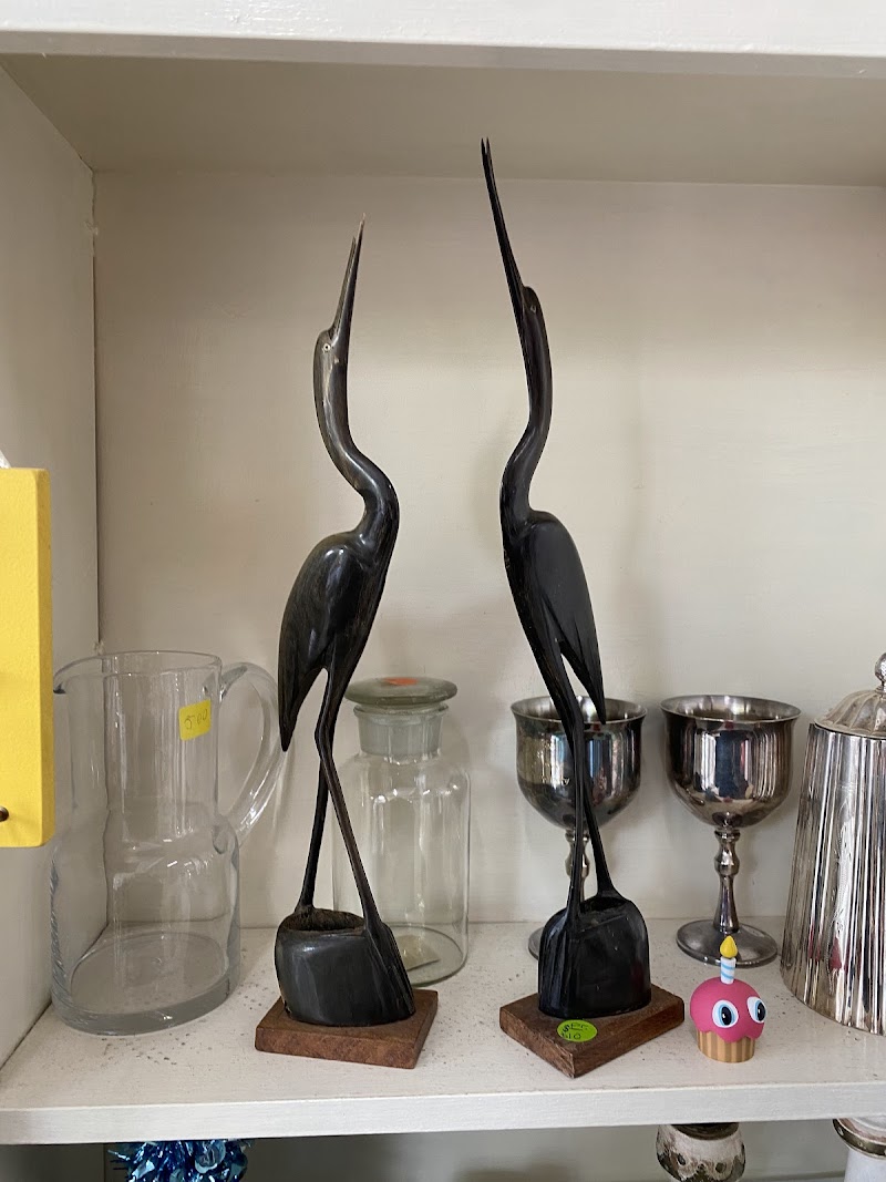 Check out Biccy’s Op Shop Brighton in Brighton