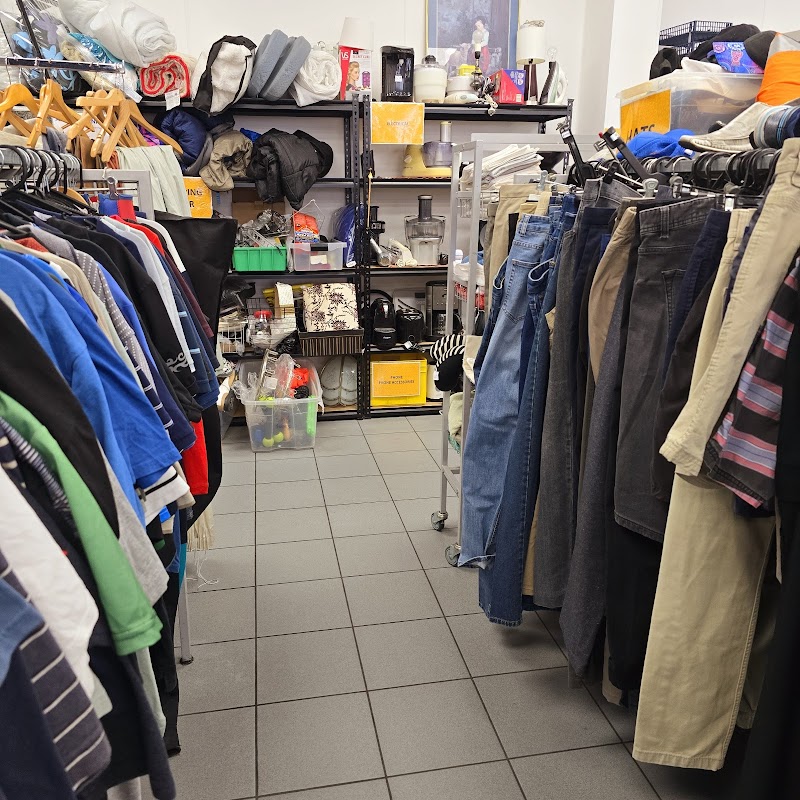 Check out Hato Hone St John Retail Store in Waltham