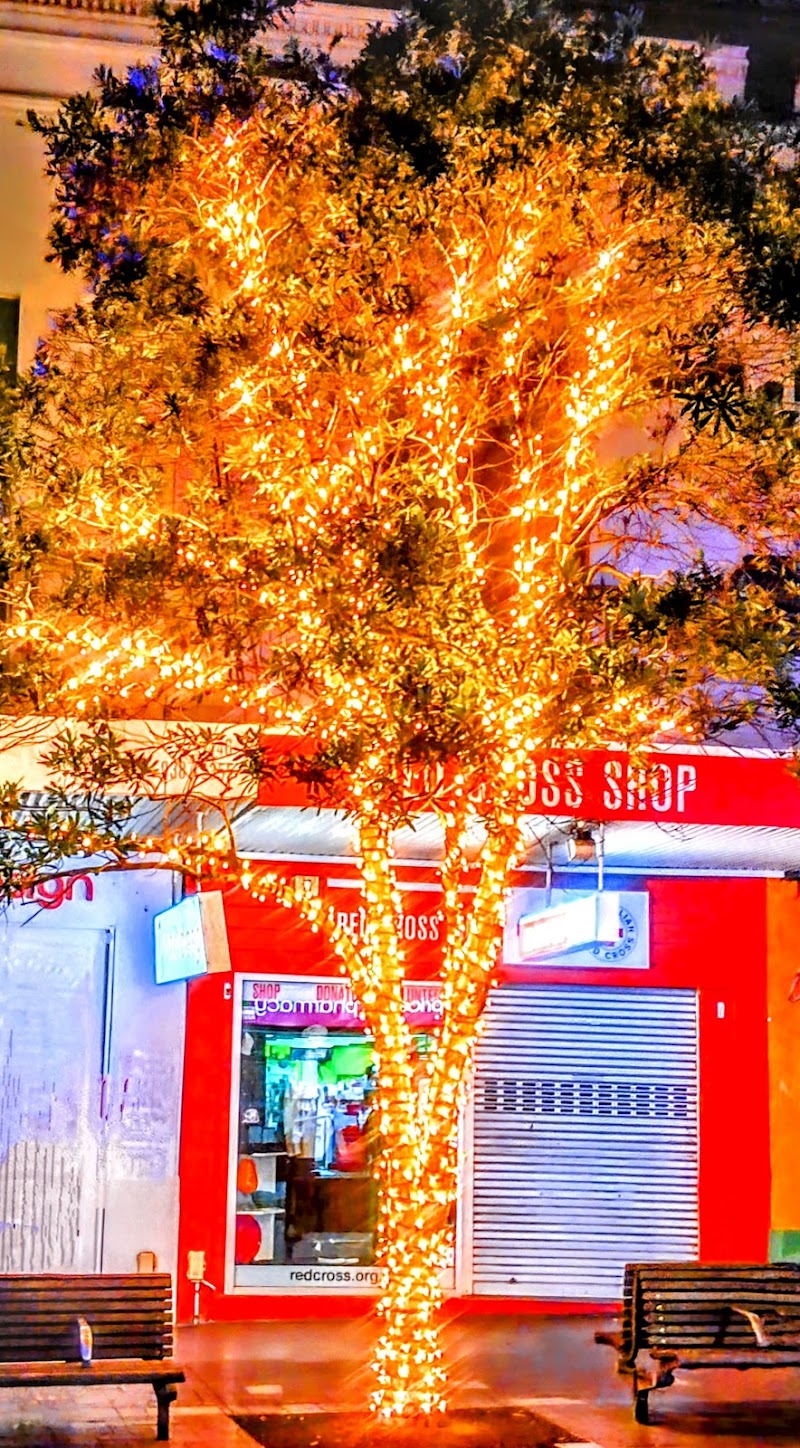 Check out Red Cross Shop Bondi Junction in Bondi Junction