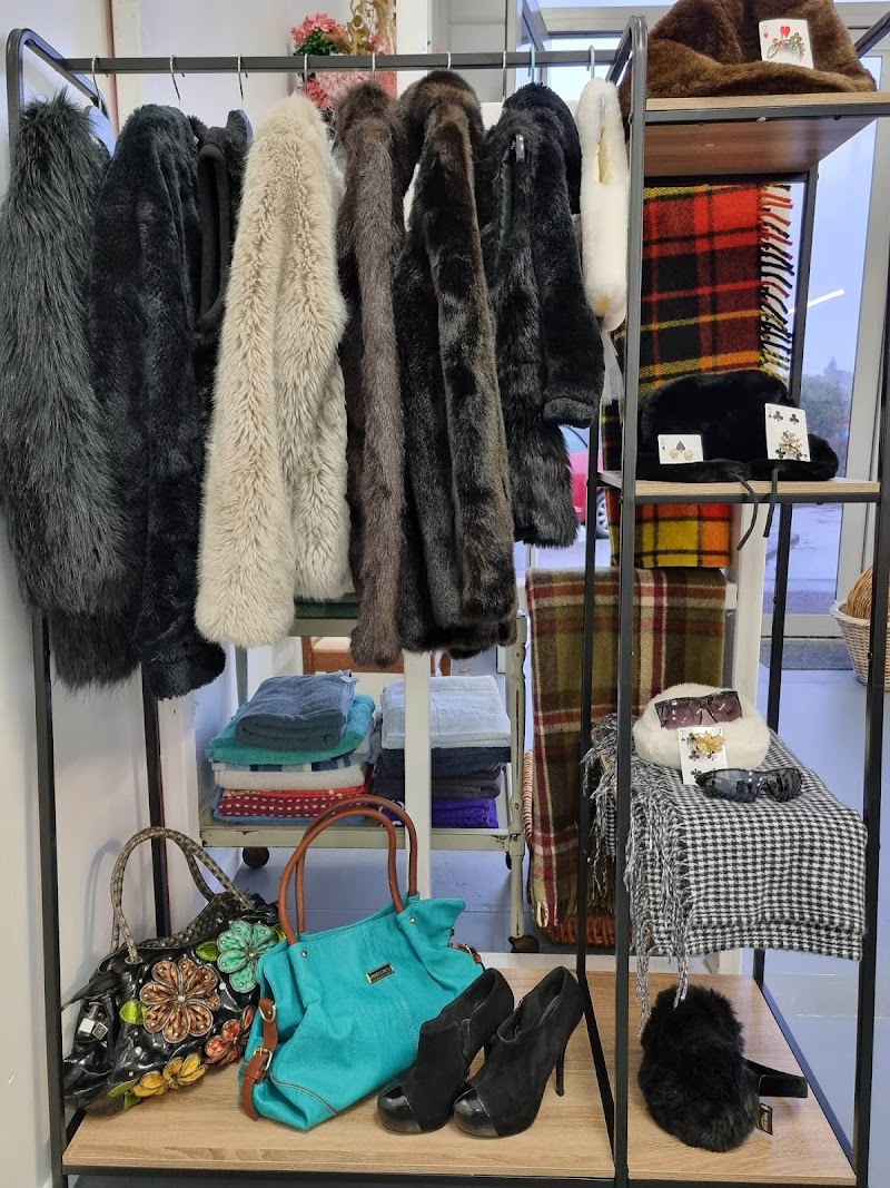 Check out The Cats Pyjamas – OP Shop in Whangaparaoa