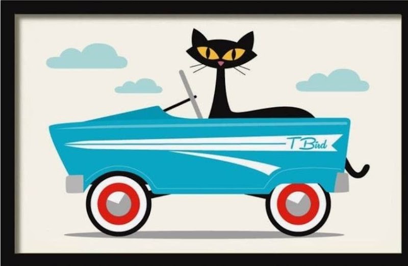 Check out The Cats Pyjamas – OP Shop in Whangaparaoa
