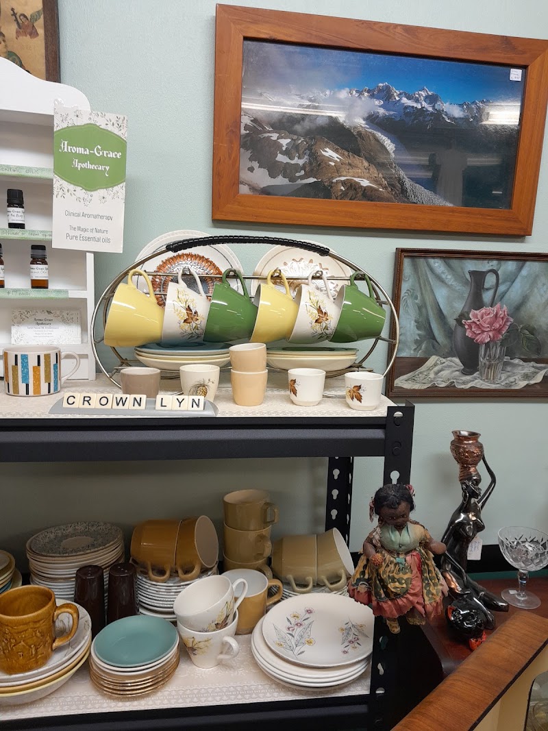 Check out Azzizzi Vintage Store in Greymouth