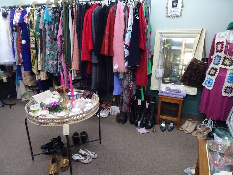 Check out Azzizzi Vintage Store in Greymouth