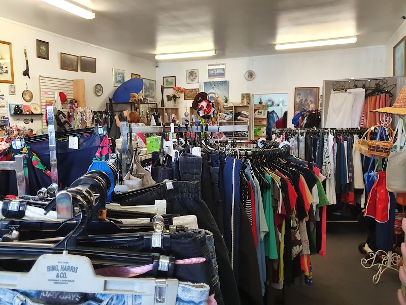 Check out Waikato Animal Outreach Trust Op Shop in Dinsdale