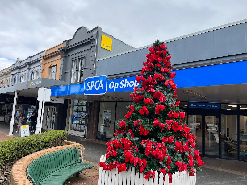 Check out SPCA Op Shop Devonport in Devonport