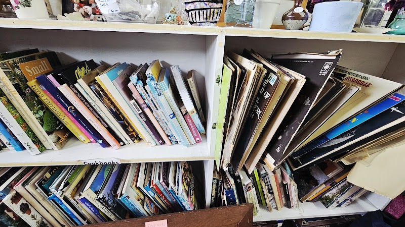Check out Red Cross Shop Waiheke in Oneroa