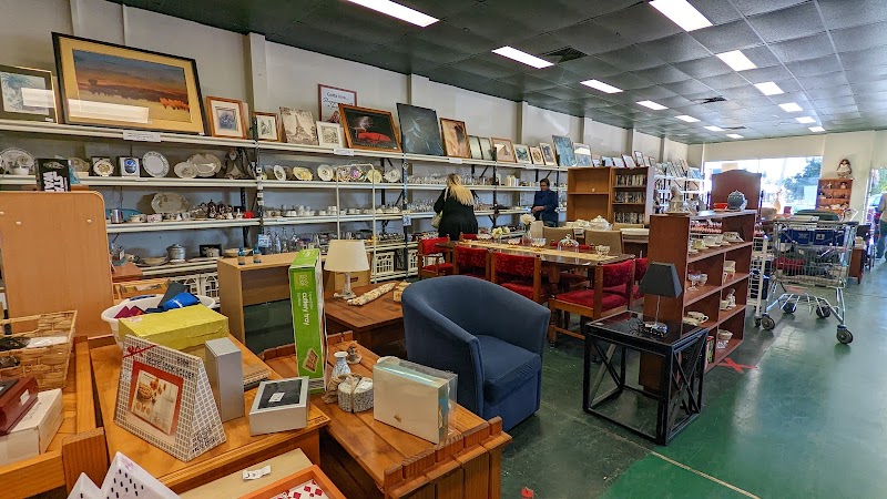 Check out Lifeline Shop Raymond Terrace in Raymond Terrace