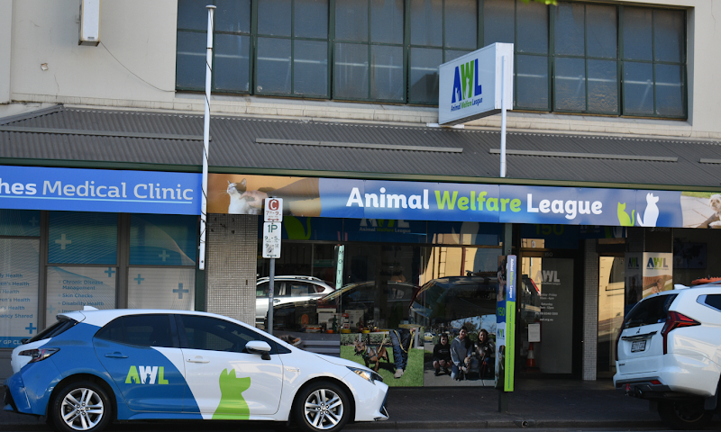 AWL Op Shop Unley update