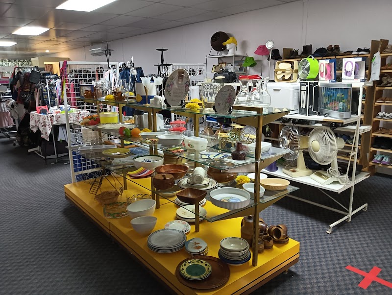 Check out The Hive (@Bordertown) in Bordertown