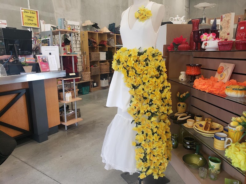 Check out The Hospice Shop – Glen Eden in Glen Eden