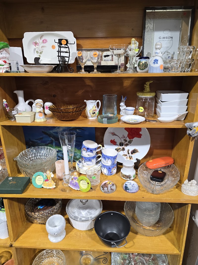 Check out Millicent Adventist community op shop in Millicent