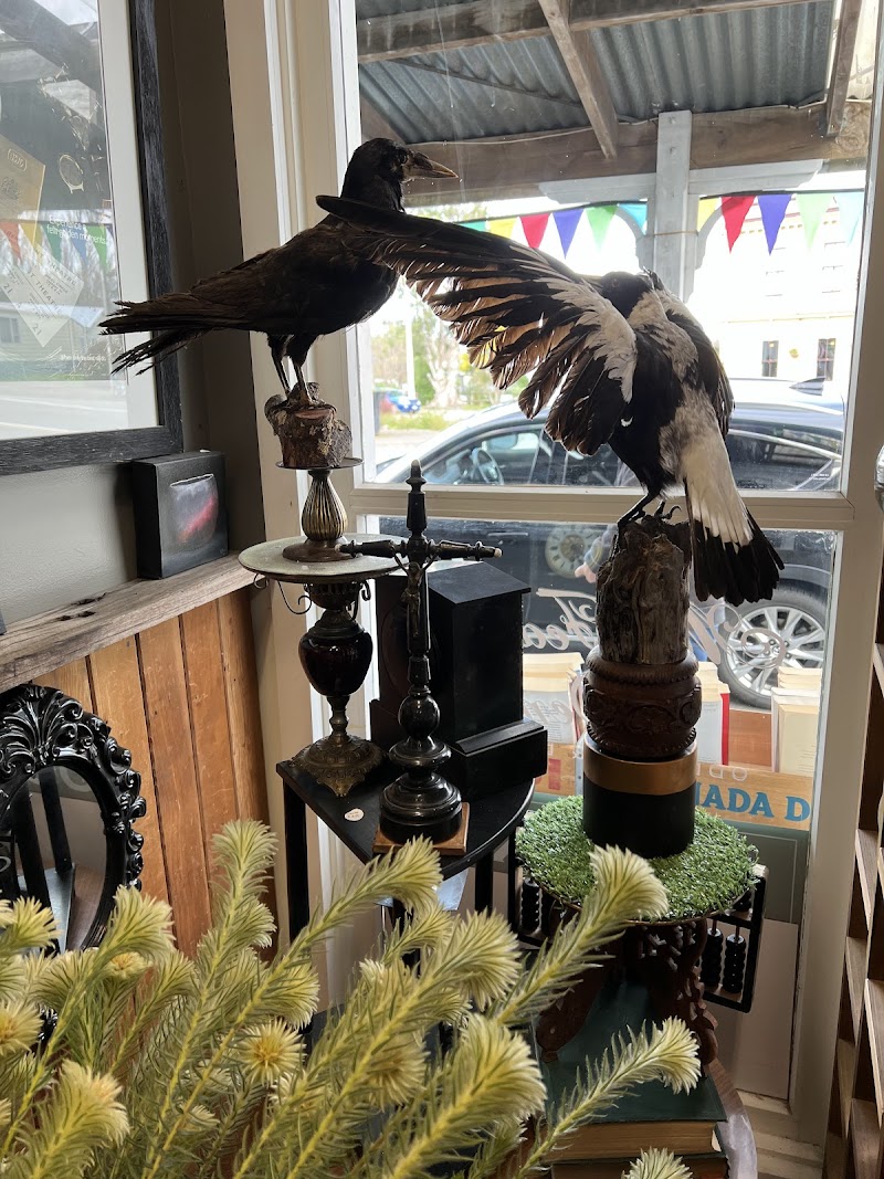 Check out Mr Feather's Den in Featherston