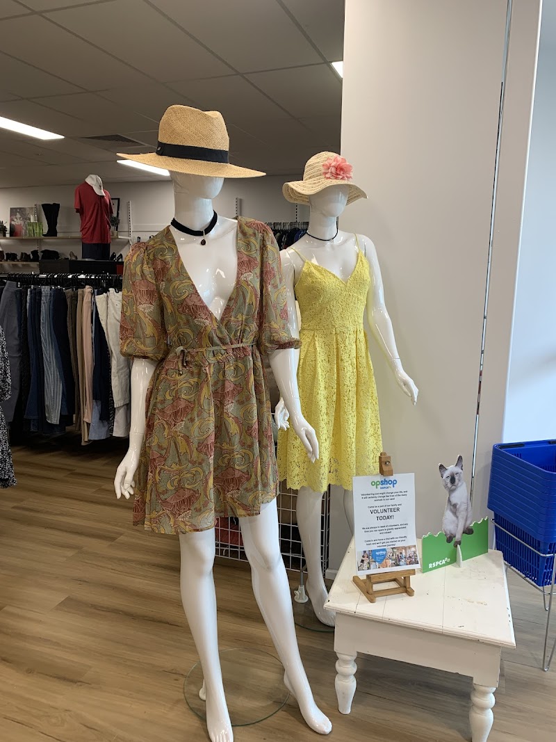 Check out RSPCA Op Shop Ashmore in Ashmore
