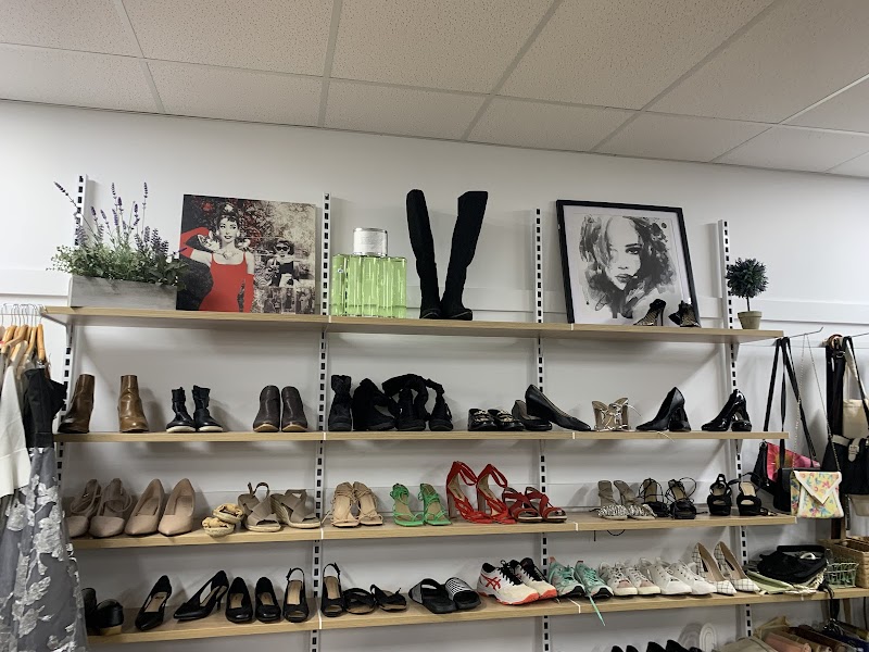 Check out RSPCA Op Shop Ashmore in Ashmore