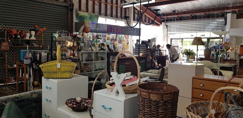 Check out The Hospice Shop – New Lynn in New Lynn