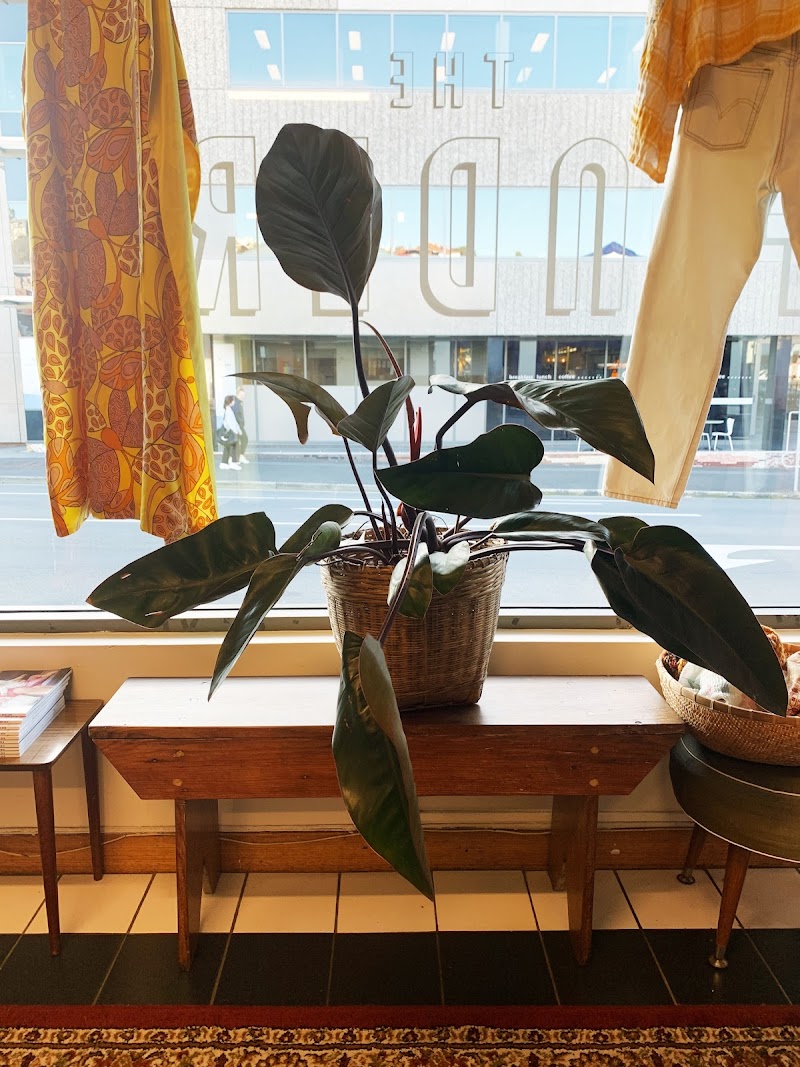 Check out 1/2 Vintage in Hobart