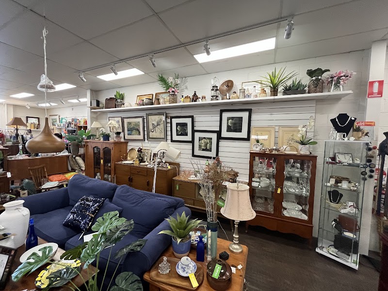 Check out Lifeline Shop Waitara in Waitara, Sydney