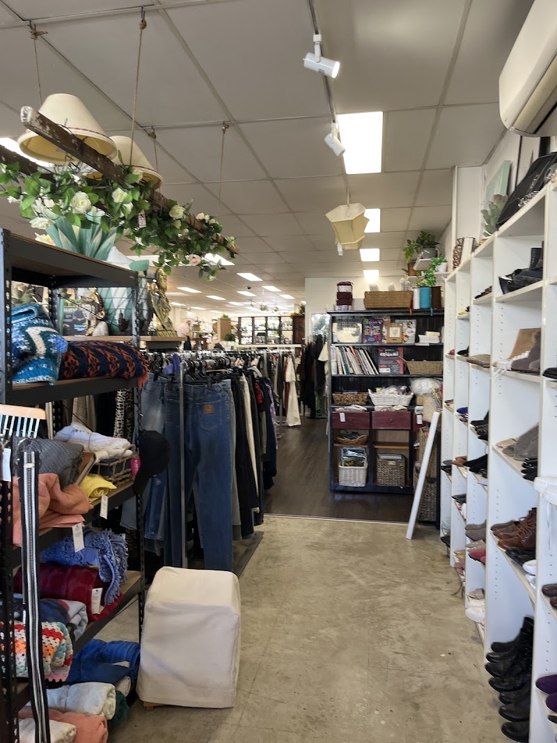 Check out Lifeline Shop Waitara in Waitara, Sydney