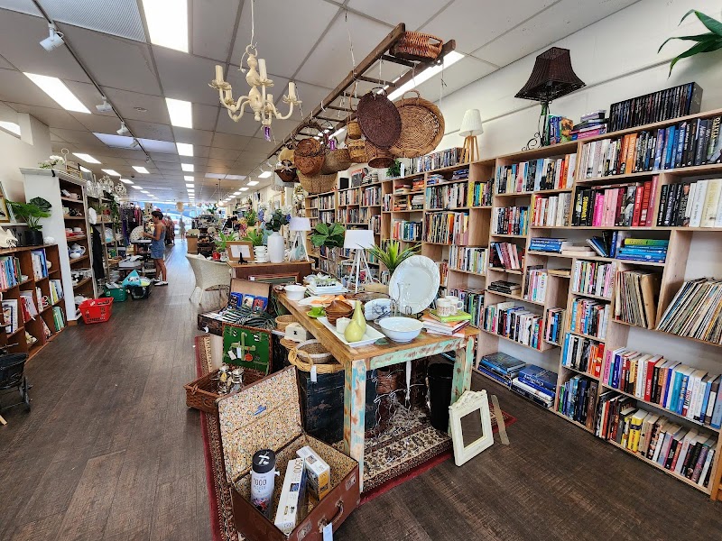 Check out Lifeline Shop Waitara in Waitara, Sydney