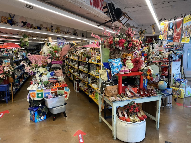 Check out Vinnies Braddon in BRADDON