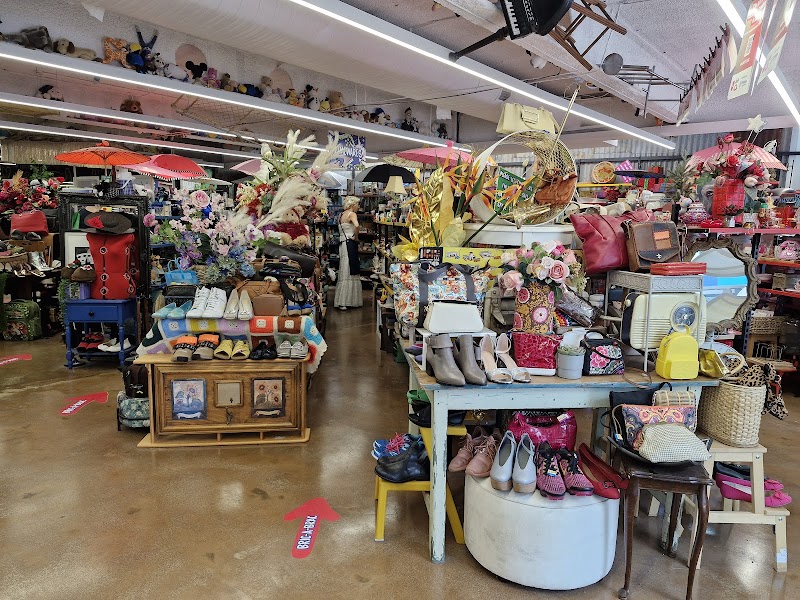 Check out Vinnies Braddon in BRADDON