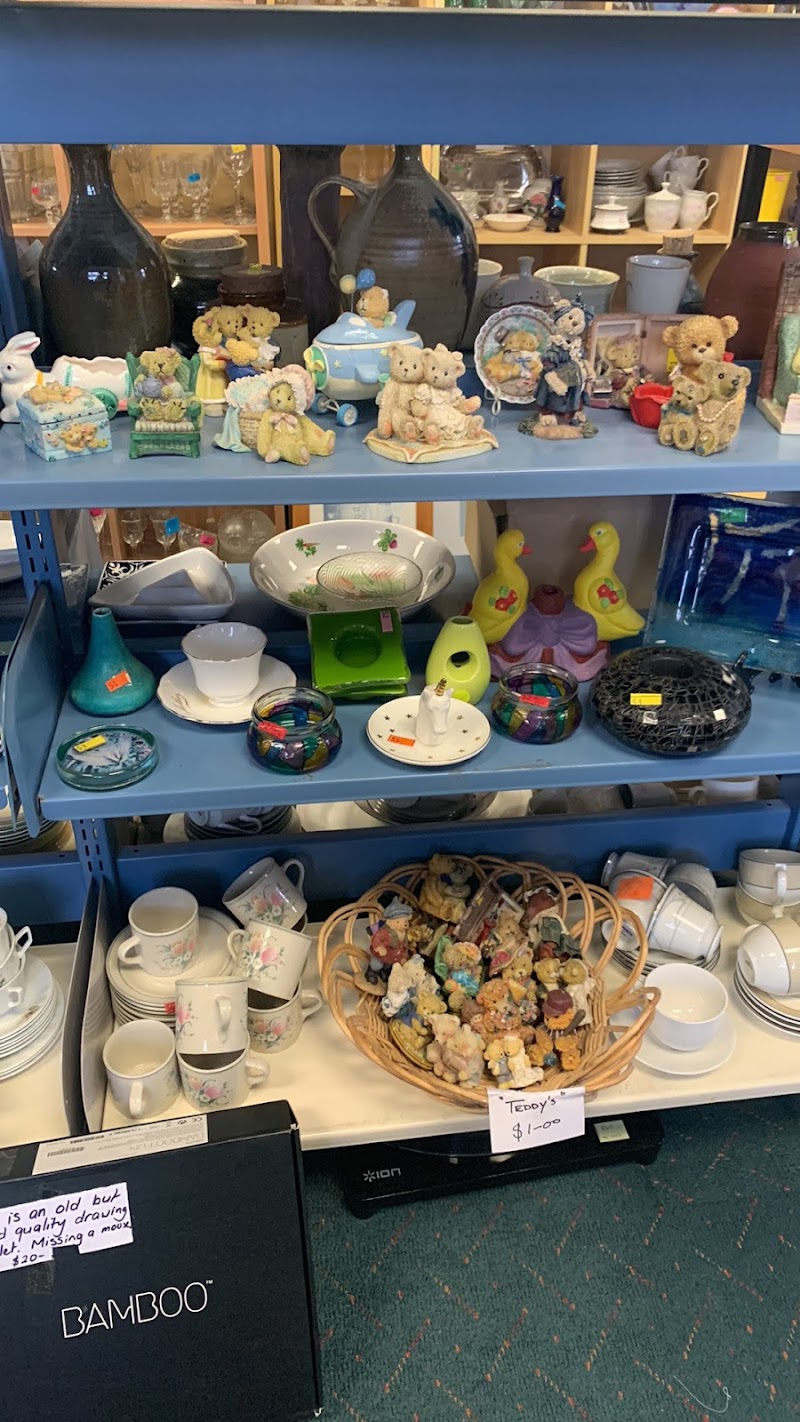Check out House of Treasures in Te Kauwhata