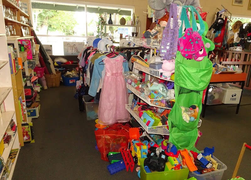 Check out Ye Olde Oppe Shoppe Bruthen in Bruthen