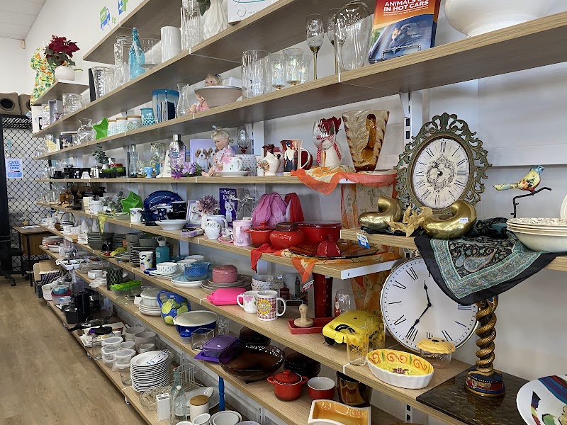Check out RSPCA Op Shop Townsville in West End