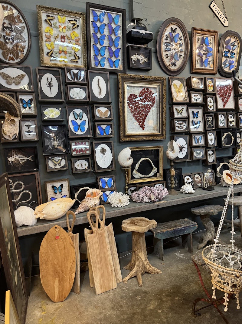 Check out The Merchants Warehouse in Annandale
