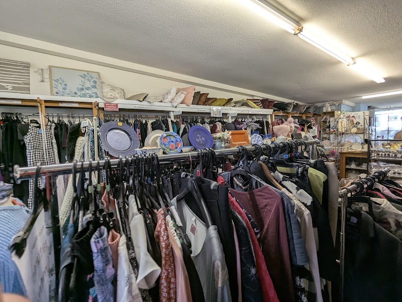 Check out IHC Opportunity Shop Birkenhead in Birkenhead