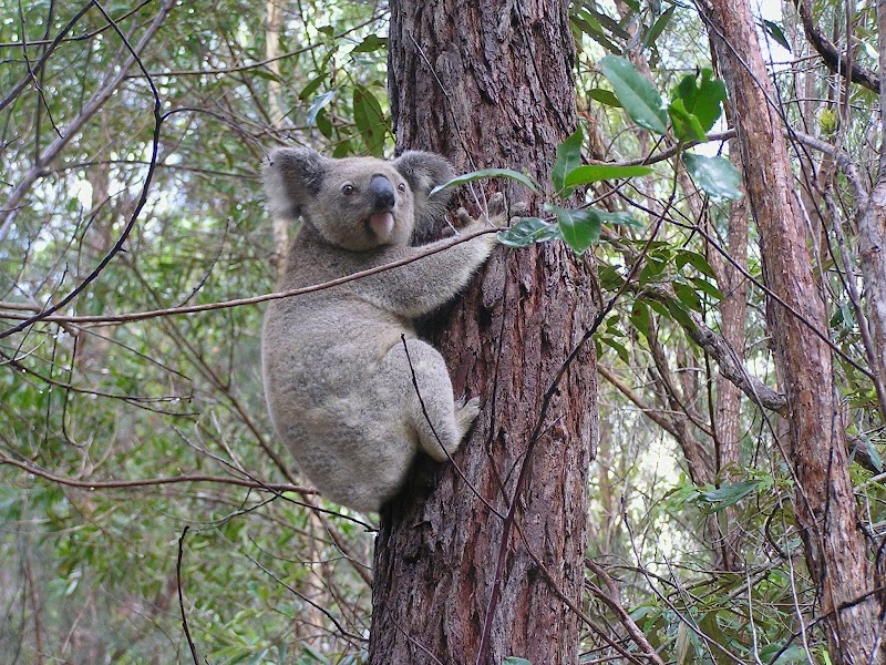 Check out Clarence Environment Centre in South Grafton