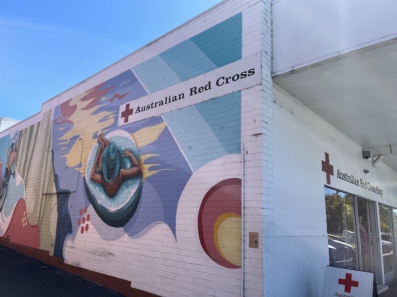 Check out Red Cross Shop Collie in COLLIE