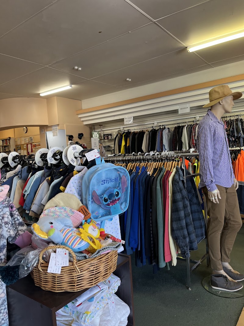 Check out Red Cross Shop Collie in COLLIE