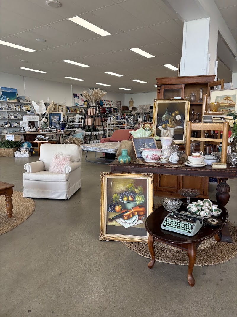 Check out Salvos Stores Hastings in HASTINGS