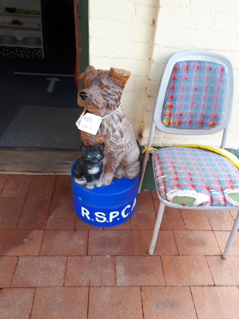 Check out York RSPCA WA Auxiliary in York