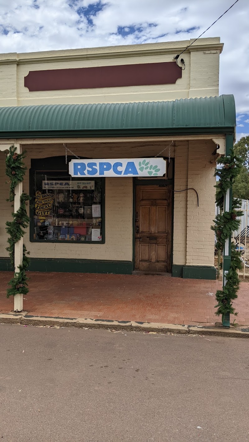 Check out York RSPCA WA Auxiliary in York