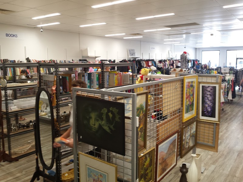 Check out Lifeline Shop Burleigh Waters in Burleigh Waters