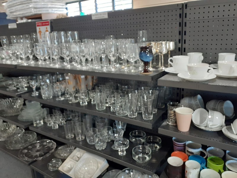 Check out Lifeline Shop Forster in Forster