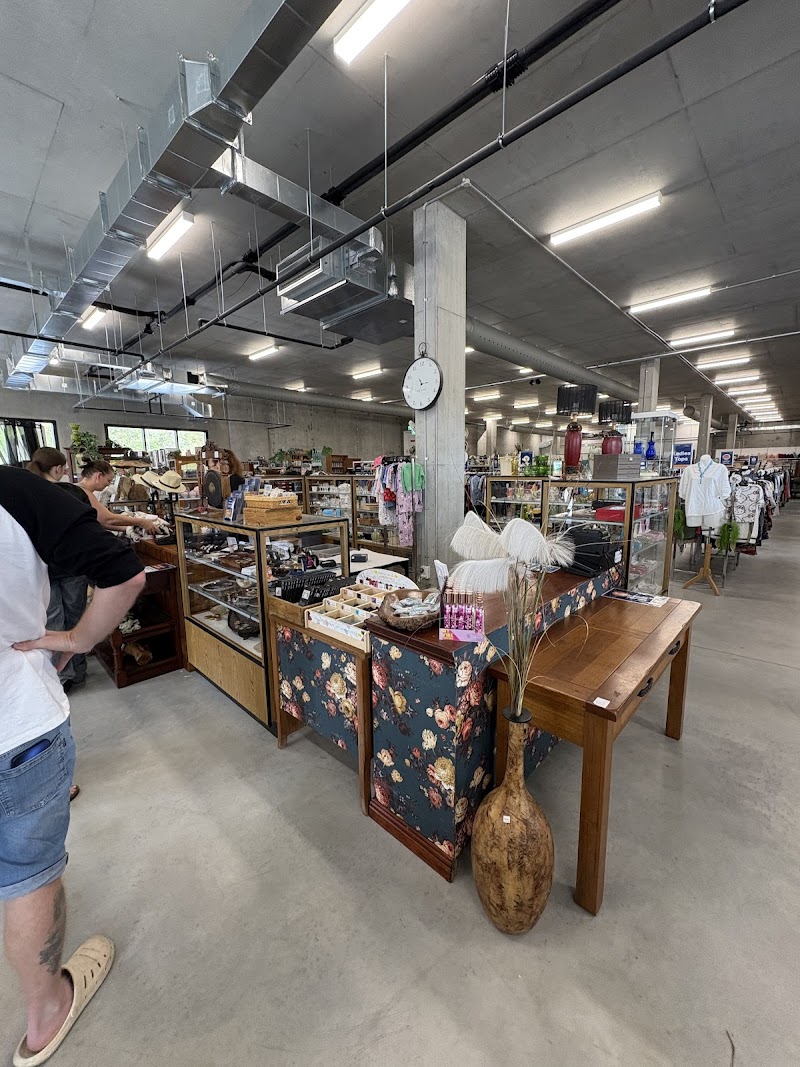 Check out Lifeline Shop Springfield in Augustine Heights