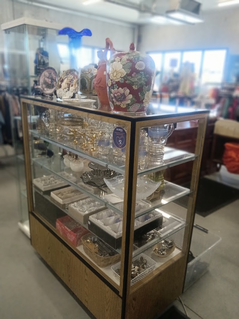 Check out Lifeline Shop Springfield in Augustine Heights