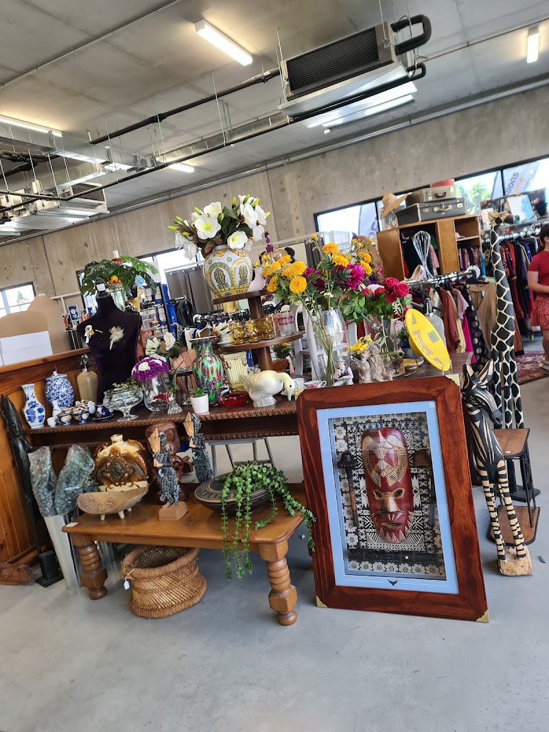 Check out Lifeline Shop Springfield in Augustine Heights