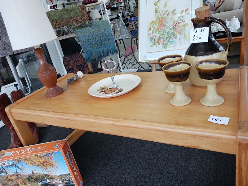 Check out Hospice Shop in Masterton