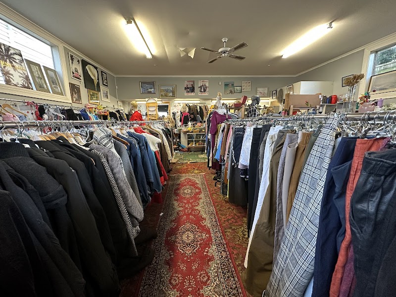 Check out Salvation Army Family Store in Lyall Bay