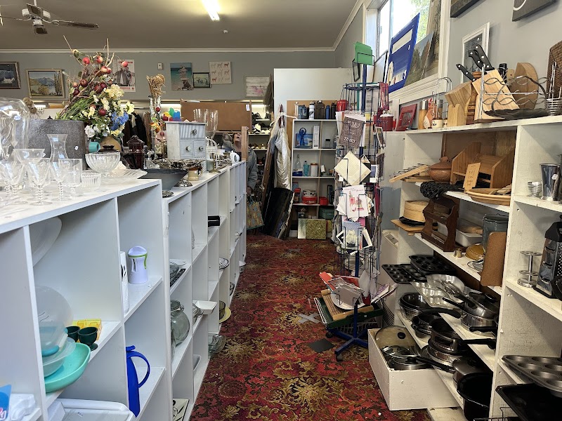 Check out Salvation Army Family Store in Lyall Bay