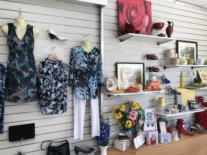 Check out Lifeline Shop Singleton in Singleton