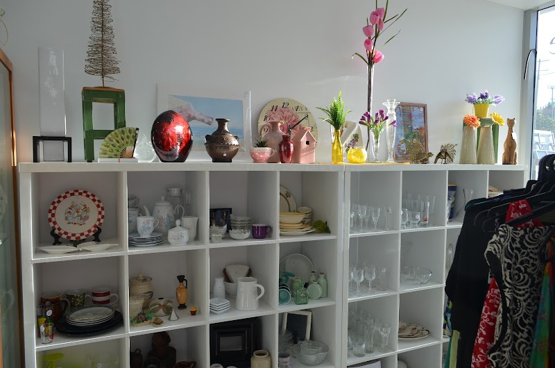 Check out Mingary Care Op Shop Bli Bli in Bli Bli