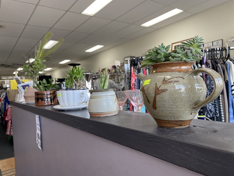 Check out DVCS Op Shop Diamond Creek in Diamond Creek